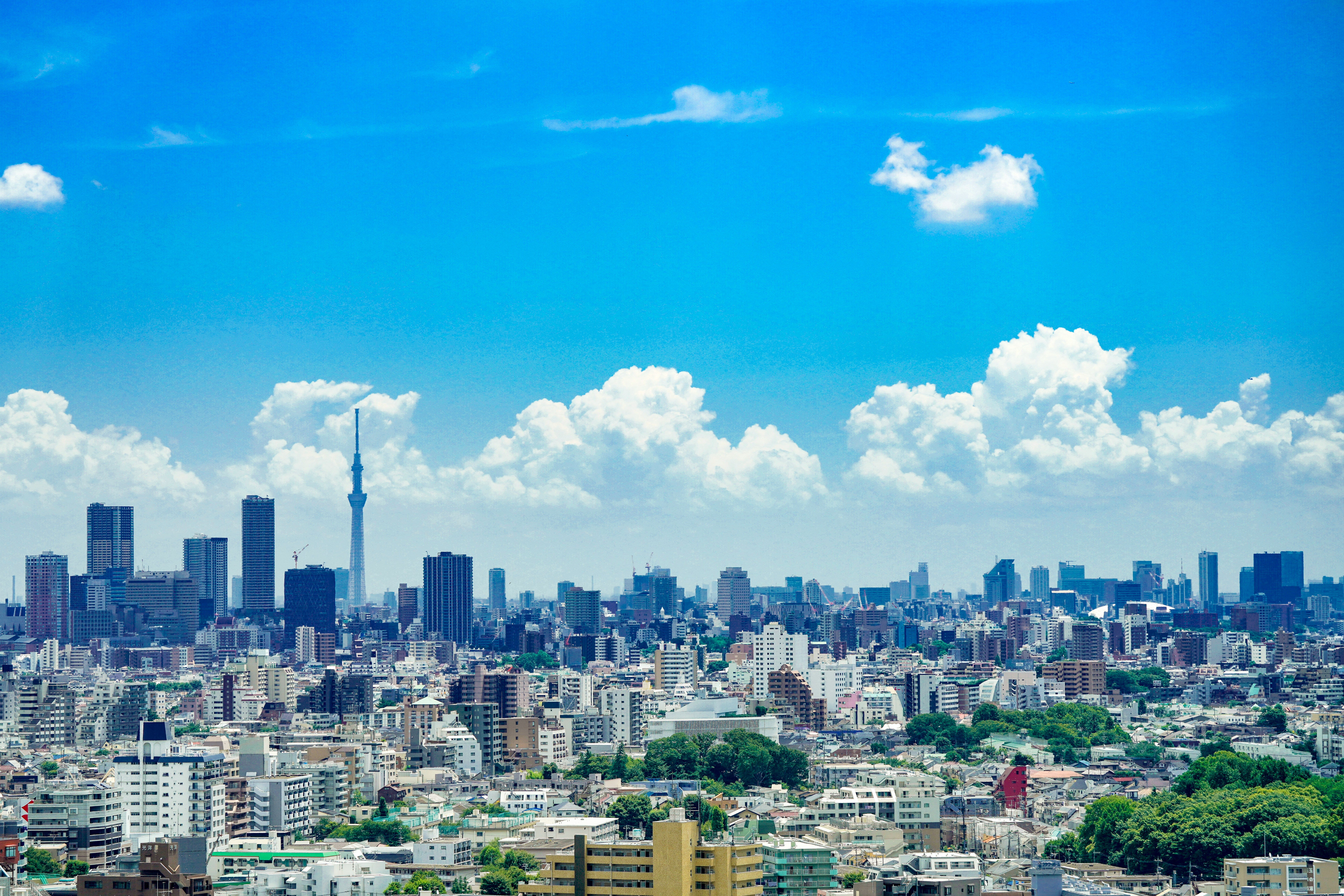 Tokyo Tour