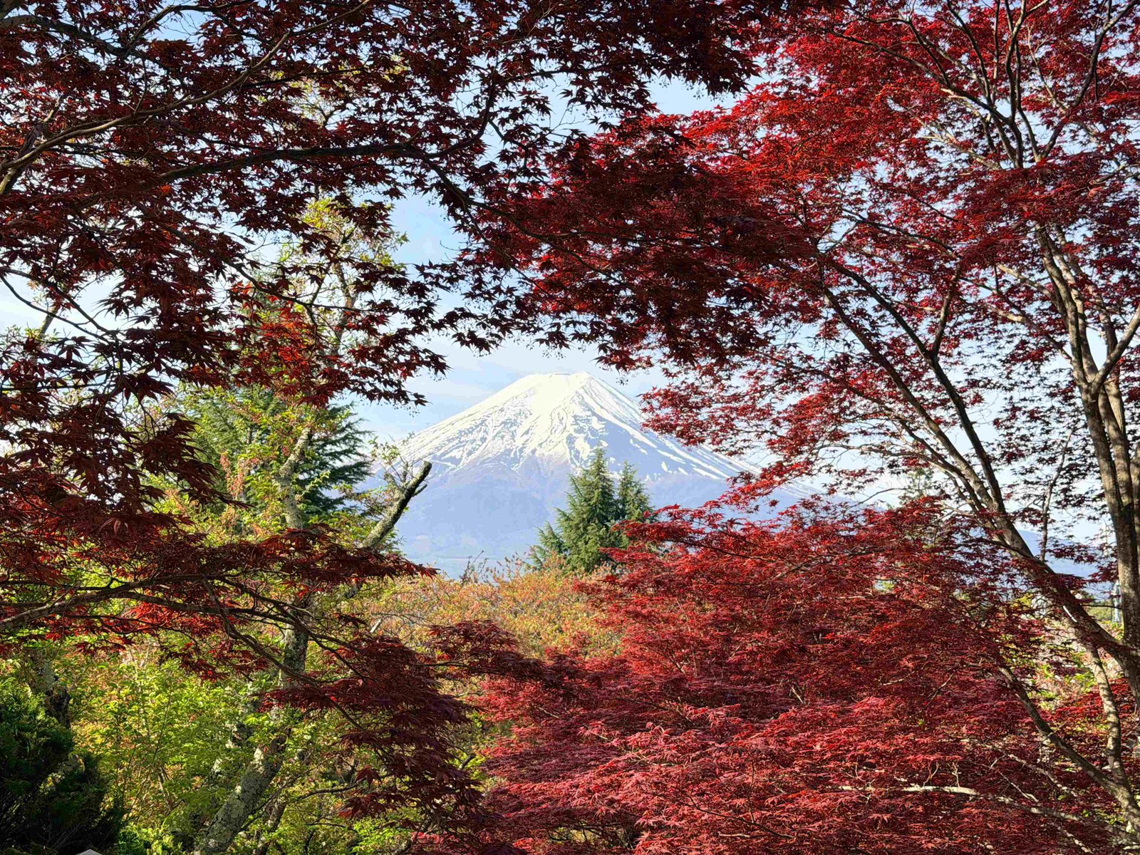 Scenic view on the Mount Fuji tour